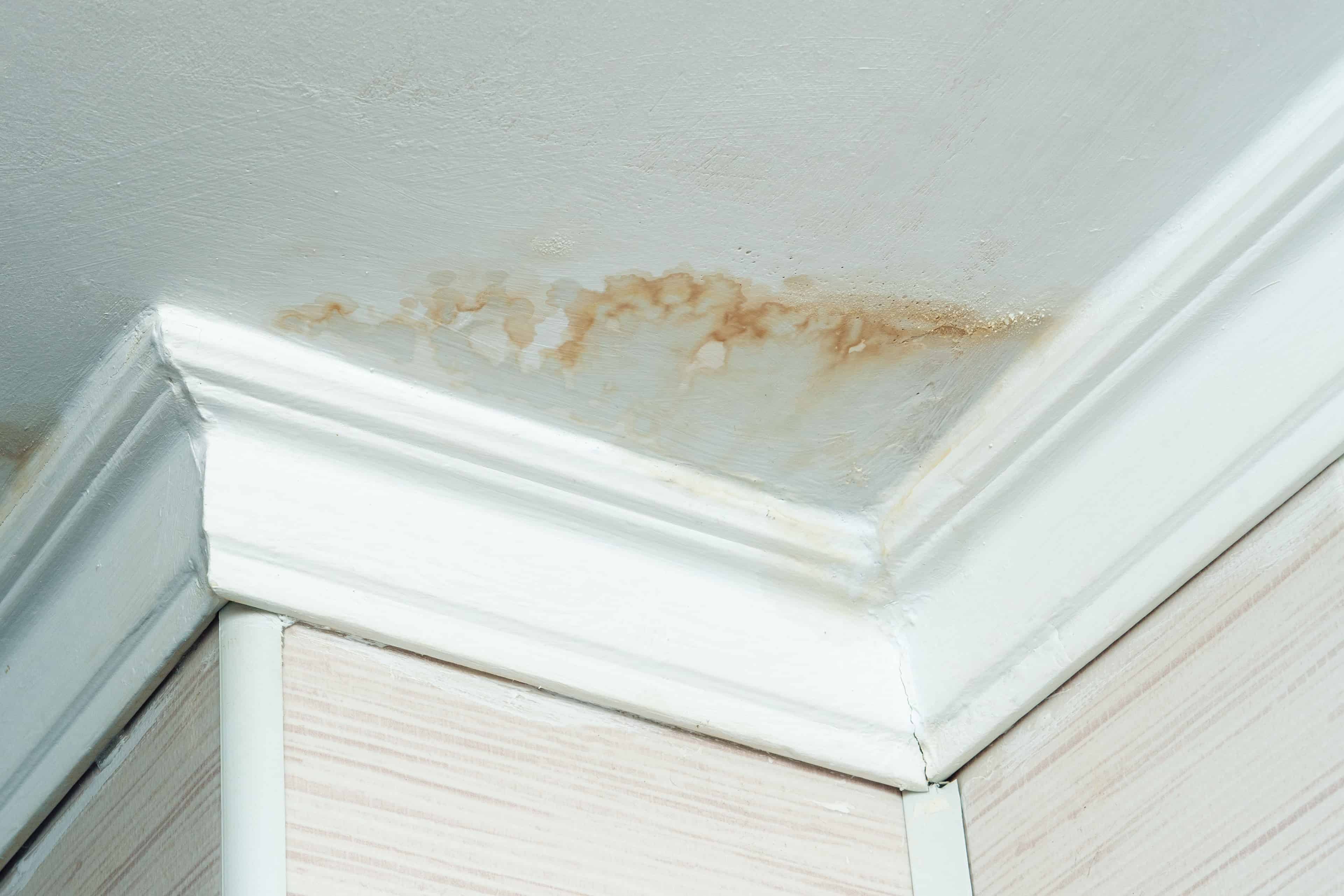 Water Damage Restoration image