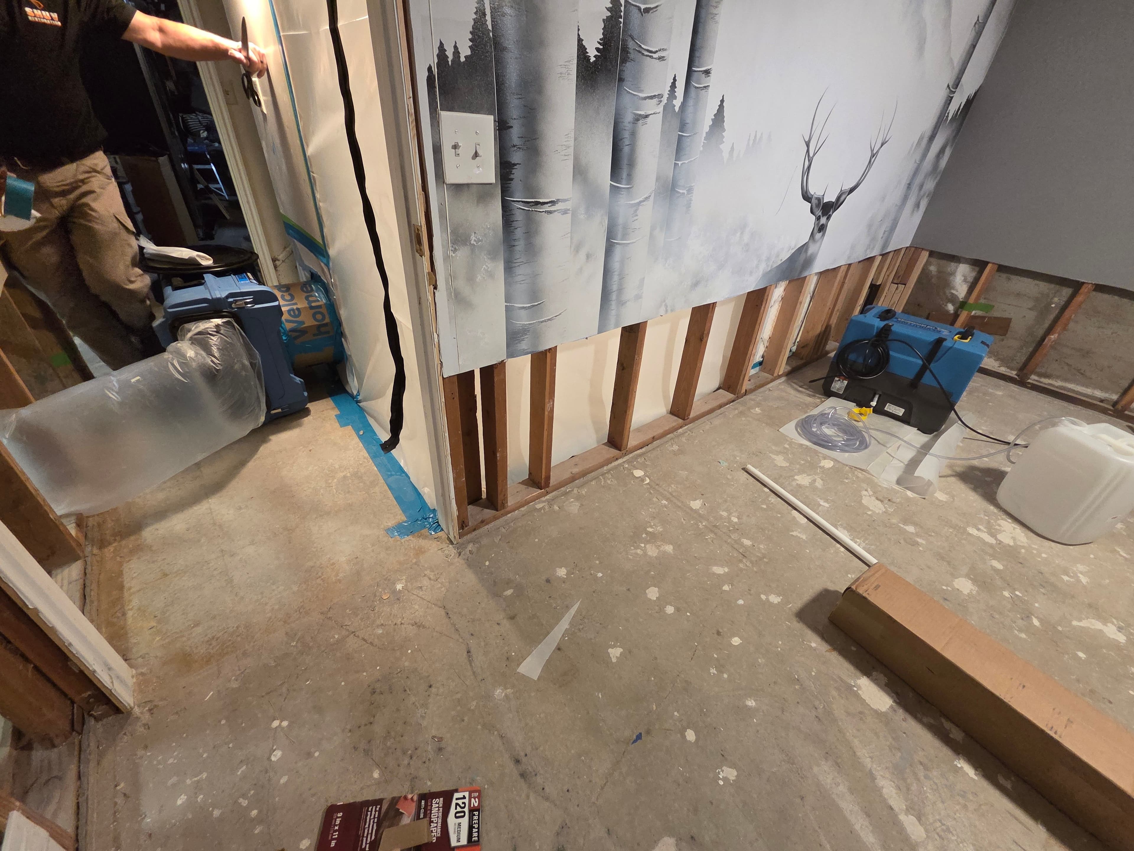 Project Effective Basement Flood Recovery and Mold Treatment image