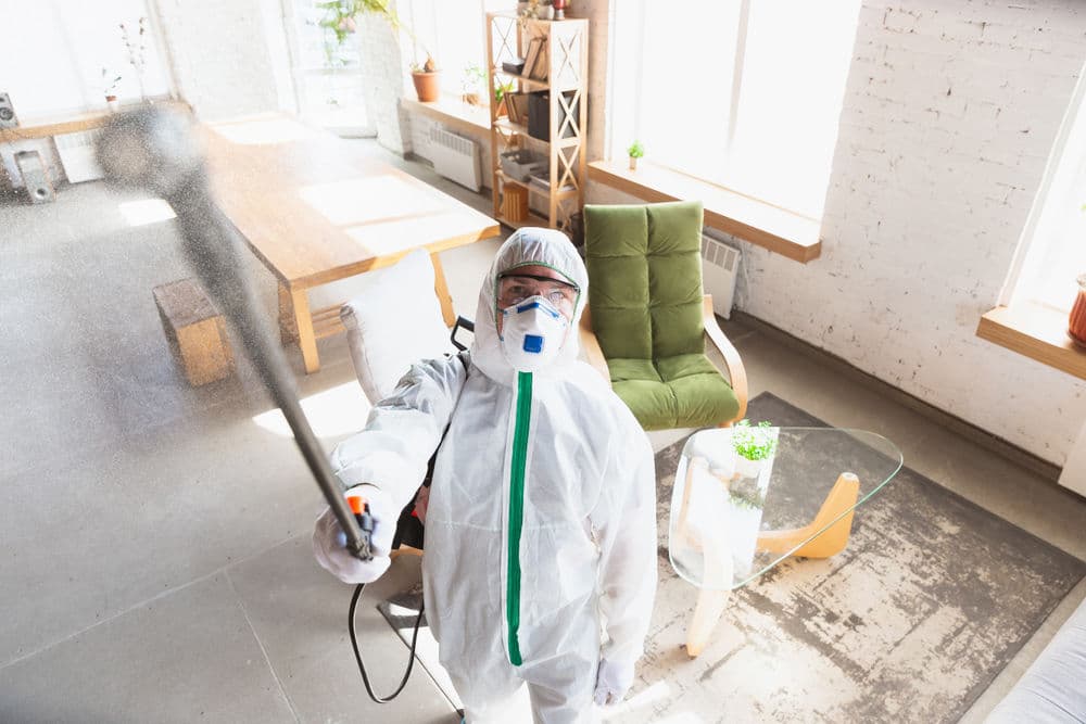 Worker in protective gear disinfects indoor space with spray in modern, bright apartment.